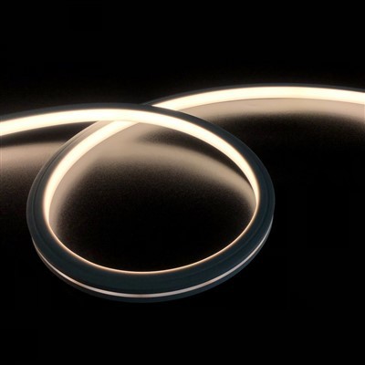 Світлова стрічка Neon Flex